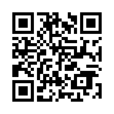 TeamViewer11绿色版下载中文汉化版